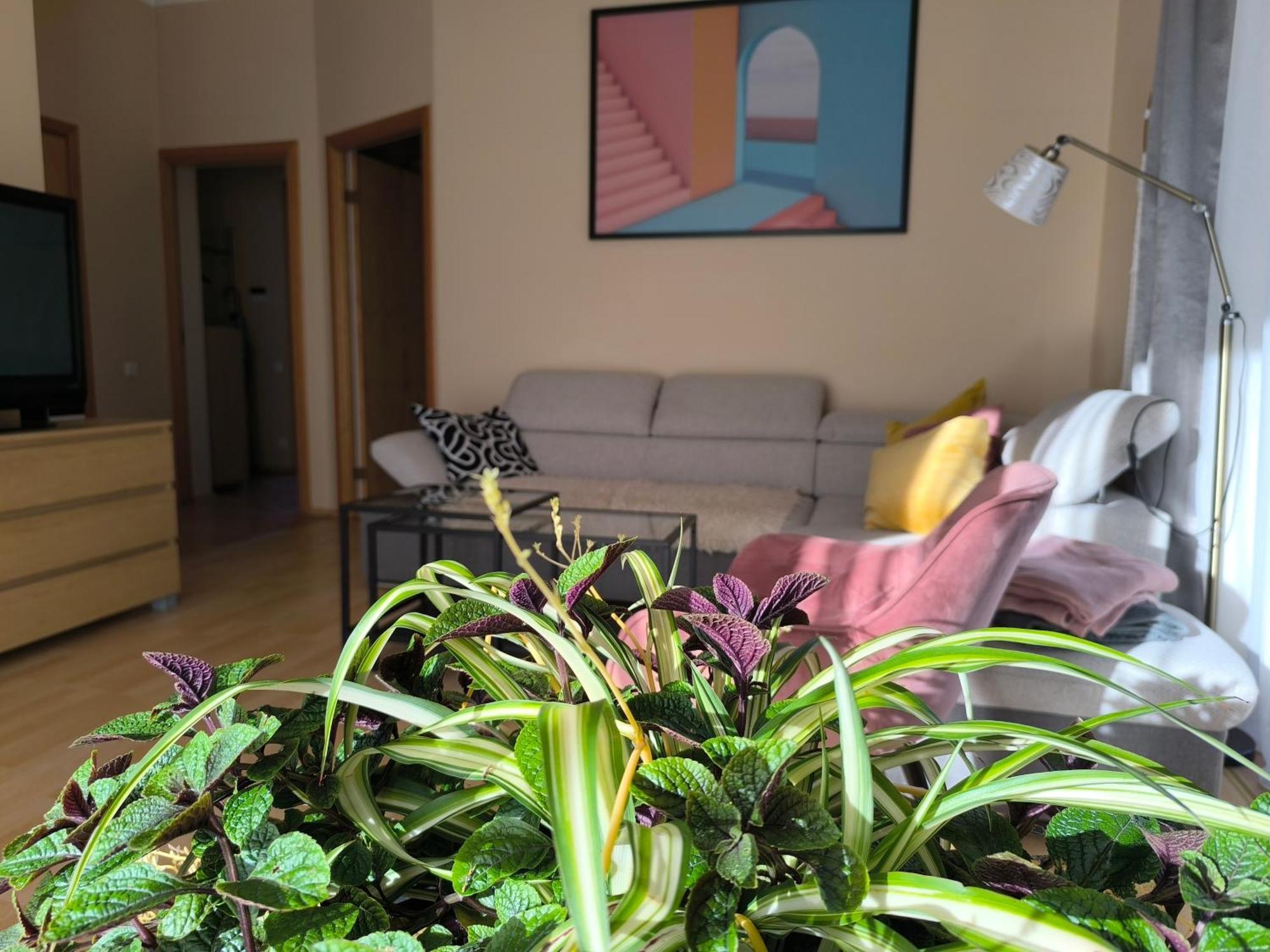 Flip-Flops Apartment Jurmala With Free Parking Dış mekan fotoğraf